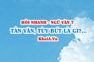 Tản văn Tùy bút là gì? Chất trữ tình và cái tôi trong tản văn tùy bút là gì? Ngữ Văn lớp 7